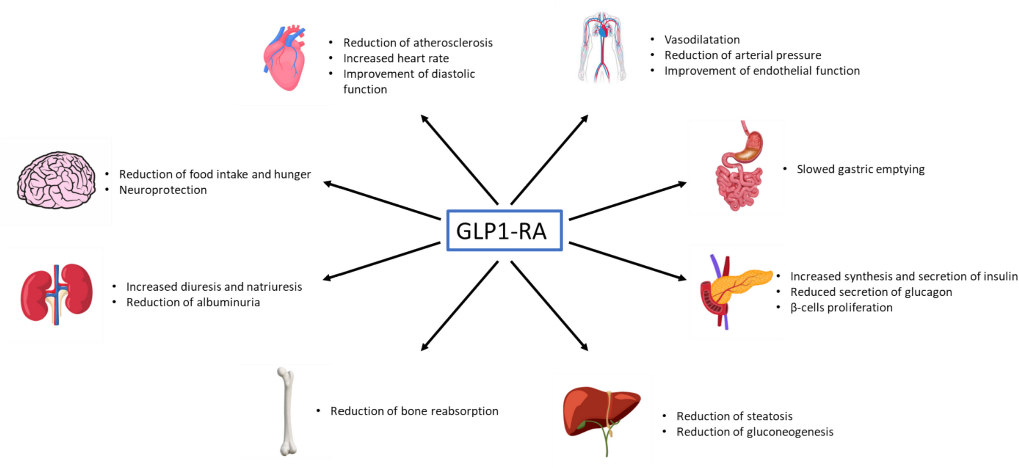 GLP-1 receptor agonists as promising anti-inflammatory agents in heart failure with preserved ejection fraction