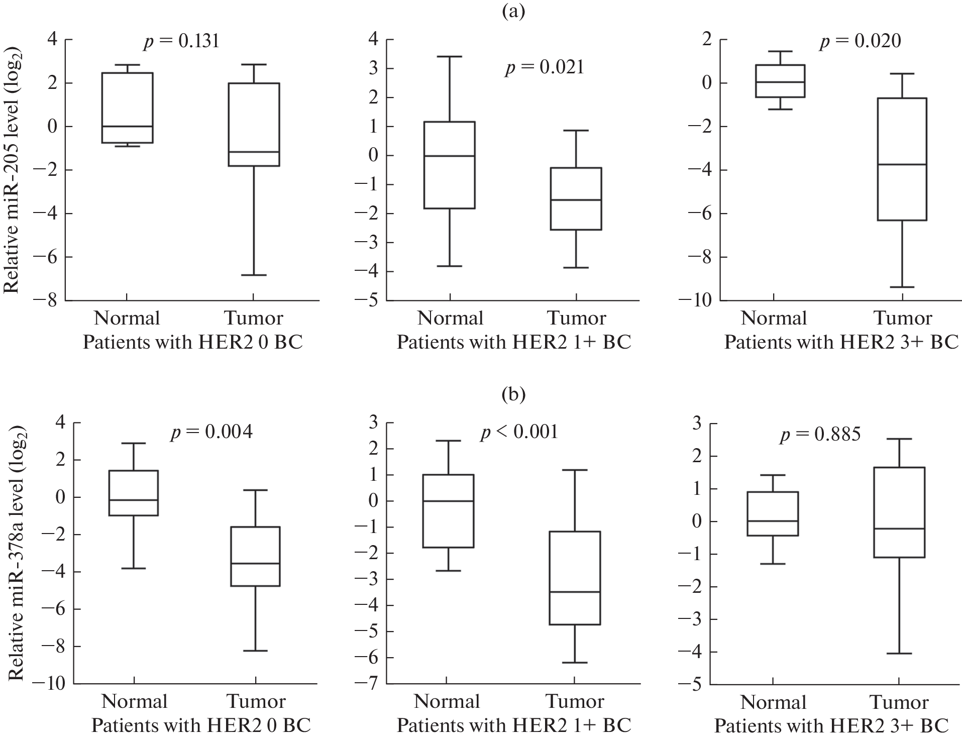 Expression of miR-21, miR-378a, miR-205, and Their Targets in ER-Positive Breast Tumors with Different HER2 Protein Levels