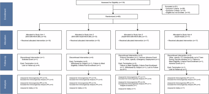 A Phase 1 randomized trial of homologous and heterologous filovirus vaccines with a late booster dose