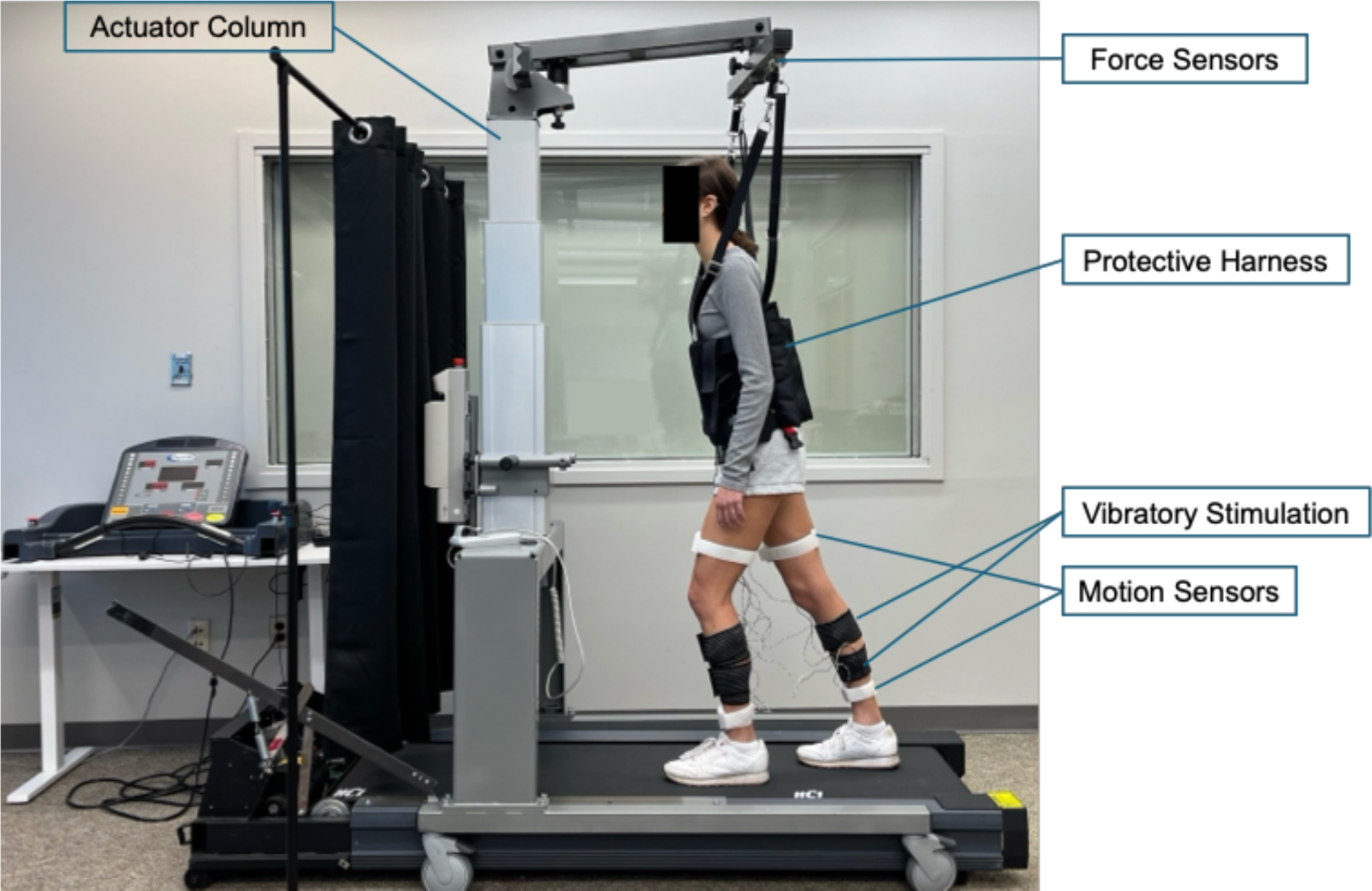 The effect of age on ankle versus hip proprioceptive contribution in balance recovery: application of vibratory stimulation for altering proprioceptive performance