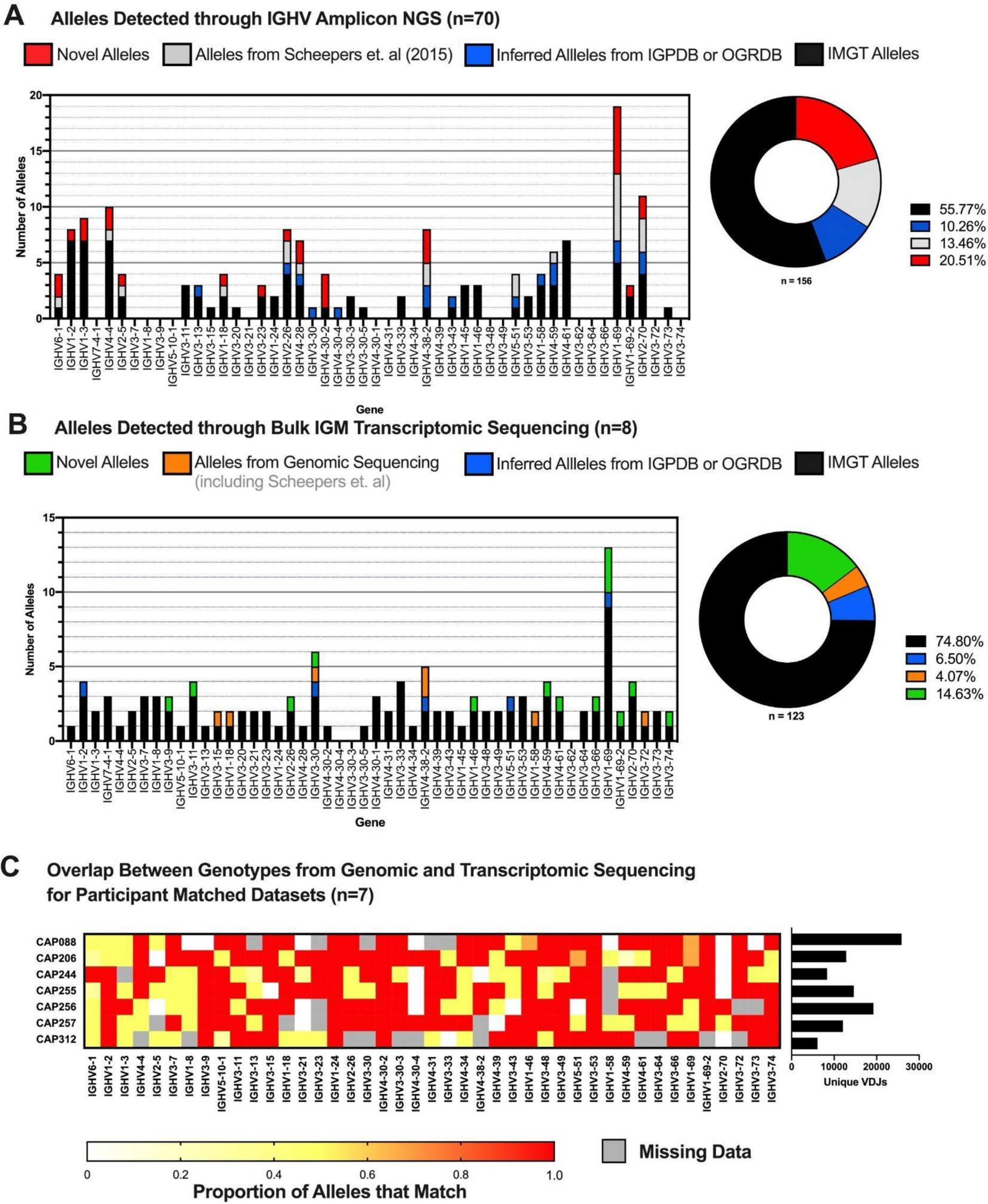 Novel polymorphic and copy number diversity in the antibody IGH locus of South African individuals