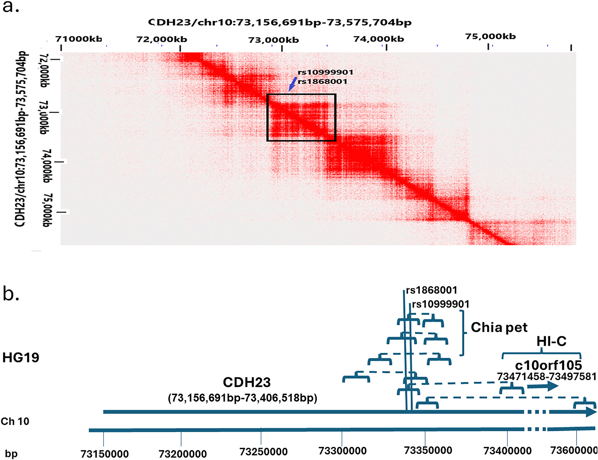 Bioinformatic analysis predicts the regulatory function of noncoding SNPs associated with Long COVID-19 syndrome