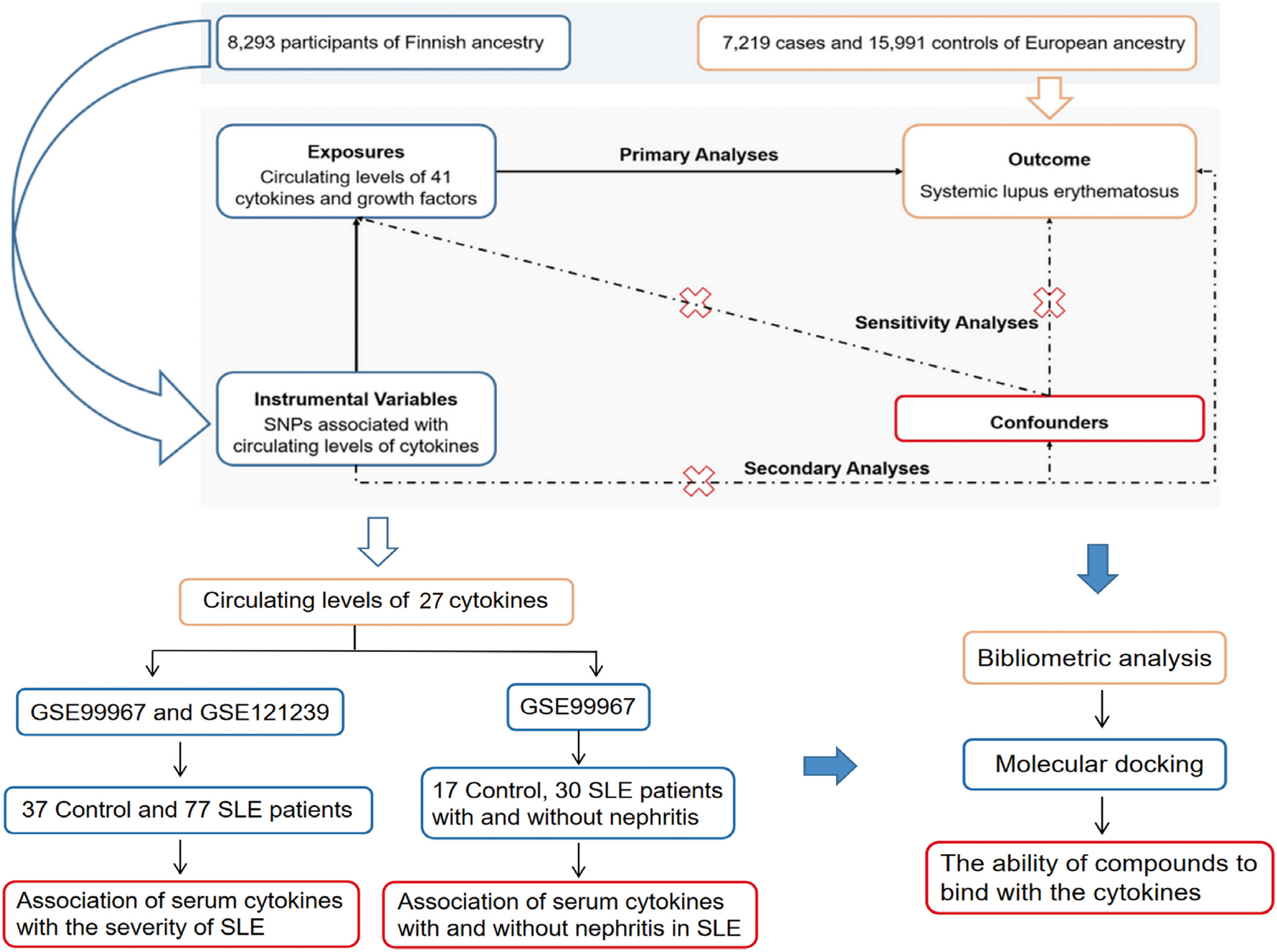 The effect of circulating cytokines on the risk of systemic lupus erythematosus: Mendelian randomization and observational study