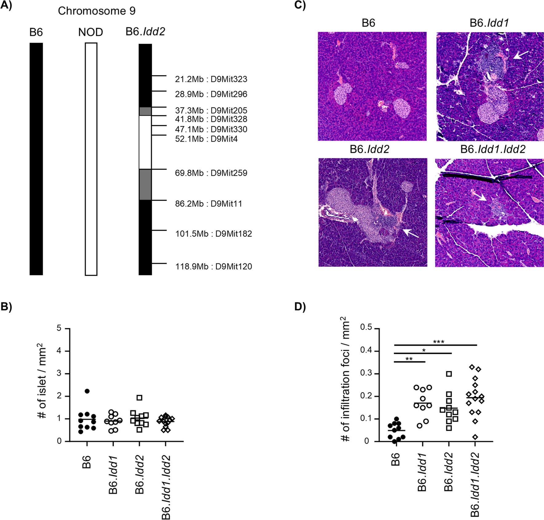 NOD alleles at Idd1 and Idd2 loci drive exocrine pancreatic inflammation