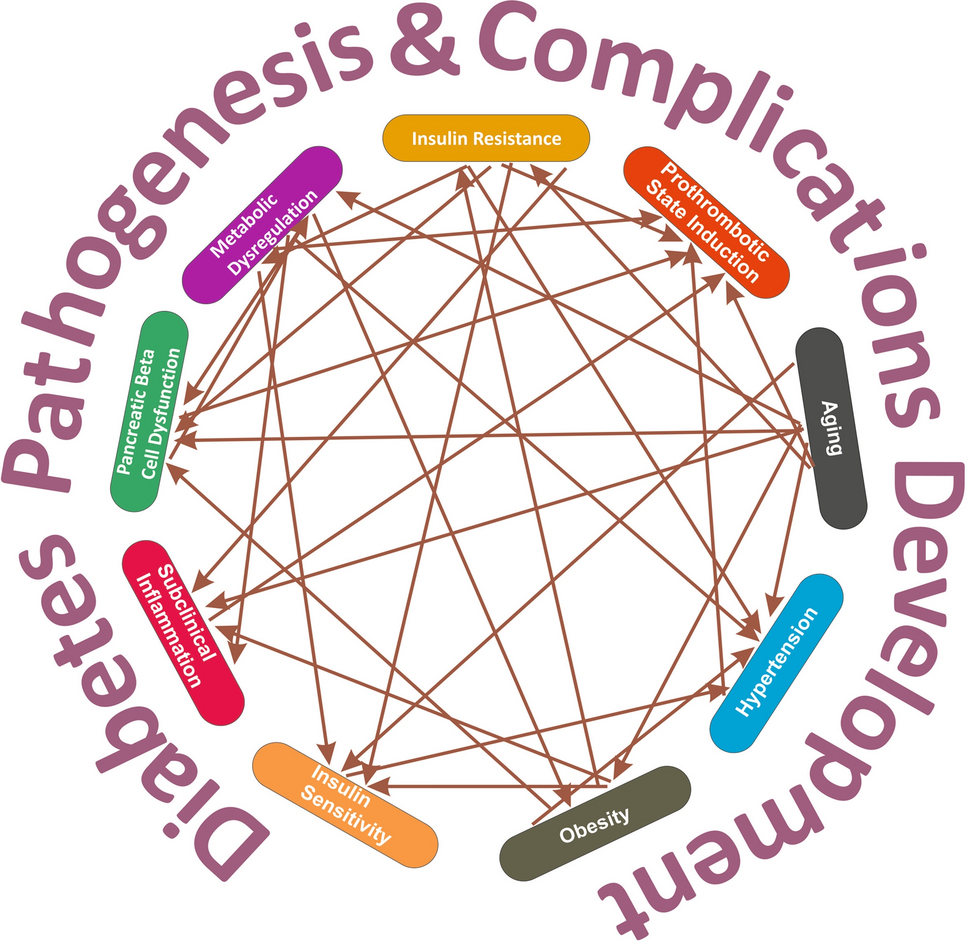 Pathophysiological hallmarks in type 2 diabetes heterogeneity (review)