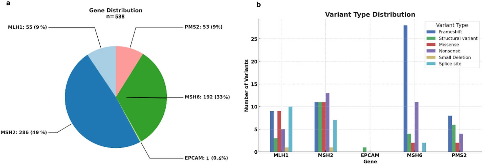 The genetic landscape of Lynch syndrome in the Israeli population