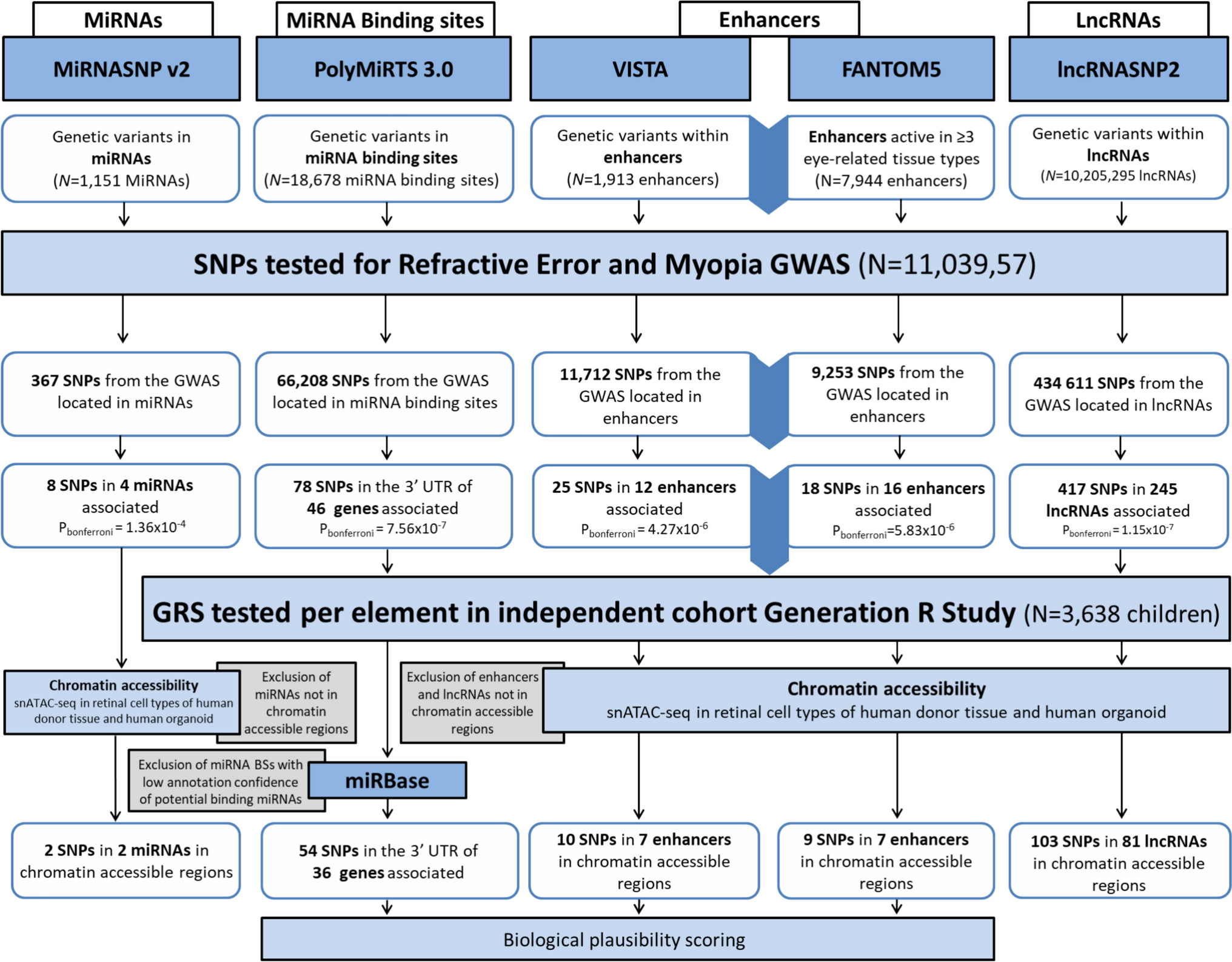 A genome-wide scan of non-coding RNAs and enhancers for refractive error and myopia