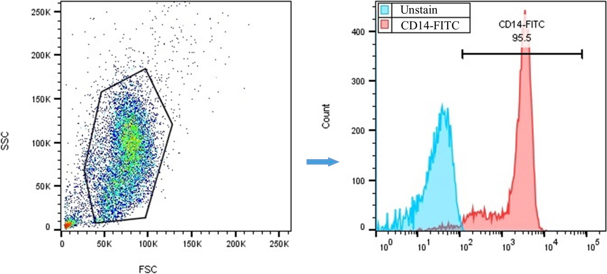 RAD001-mediated mTOR targeting in human monocyte-derived dendritic cells shifts them toward an immunogenic phenotype