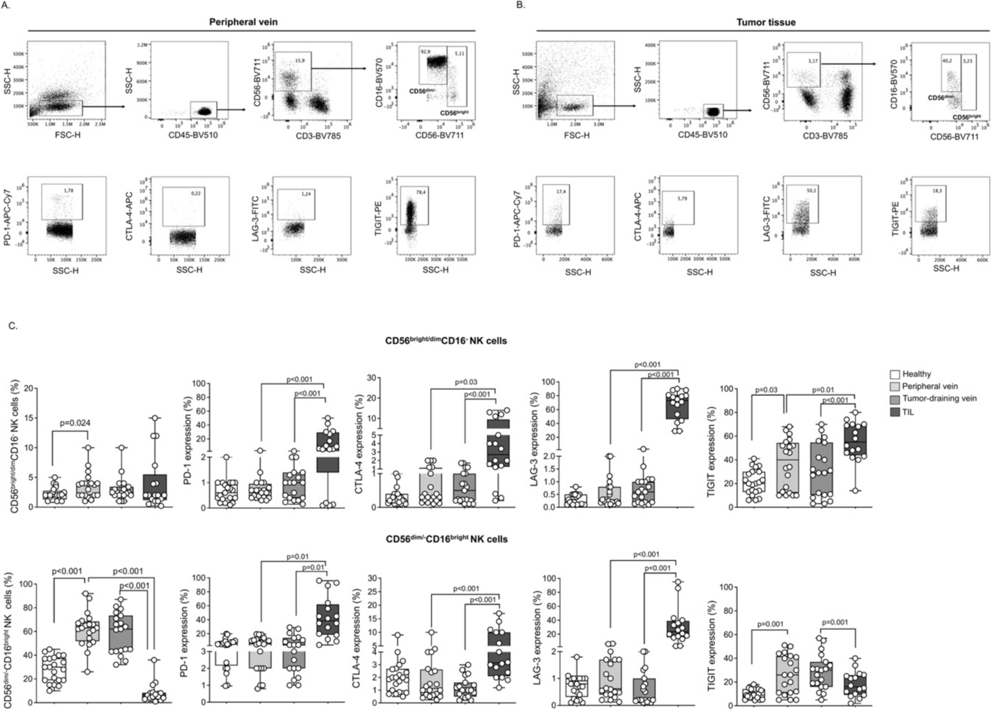 Functional and phenotypic changes in natural killer cells expressing immune checkpoint receptors PD-1, CTLA-4, LAG-3, and TIGIT in non-small cell lung cancer: the comparative analysis of tumor microenvironment, peripheral venous blood, and tumor-draining veins