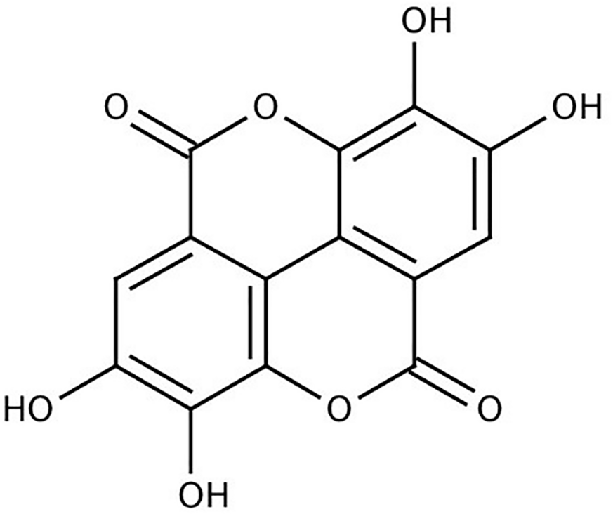 Exploring the Potential of Ellagic Acid in Gastrointestinal Cancer Prevention: Recent Advances and Future Directions