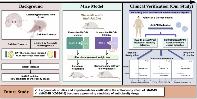 Anti-obesity effect of irreversible MAO-B inhibitors in patients with Parkinson’s disease