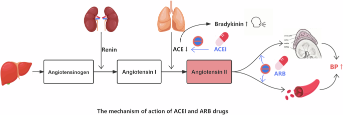 Comment on the Article: Risk of pneumonia-related hospitalization after initiating angiotensin-converting enzyme inhibitors compared with angiotensin II receptor blockers: a retrospective cohort study using LIFE Study data