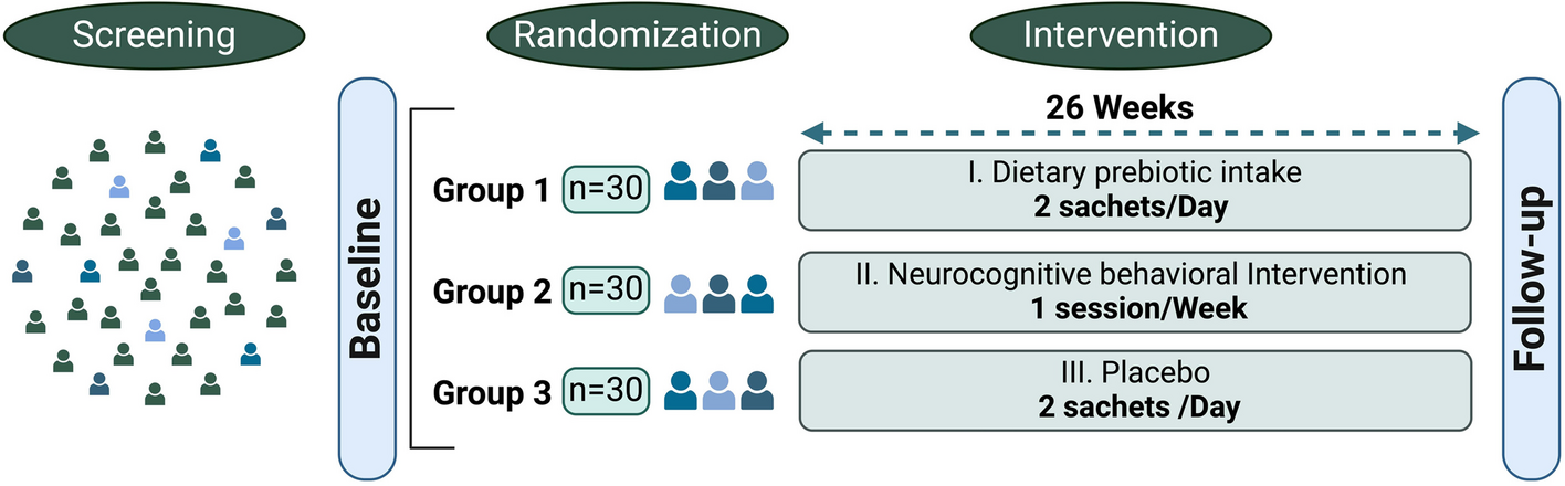 Investigating the impact of microbiome-changing interventions on food decision-making: MIFOOD study protocol