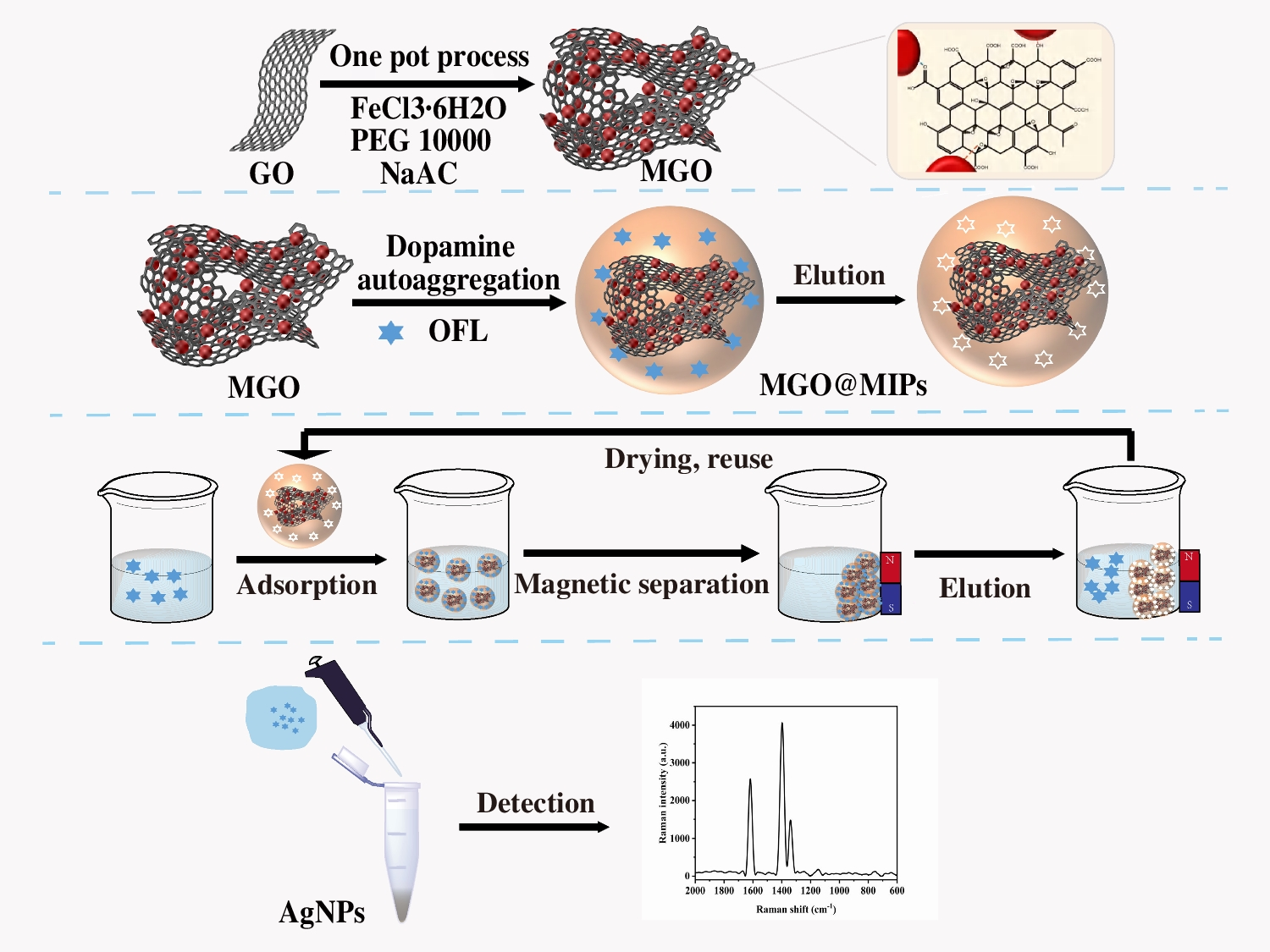 Preparation of ofloxacin molecularly imprinted polymer Raman sensor based on magnetic graphene oxide