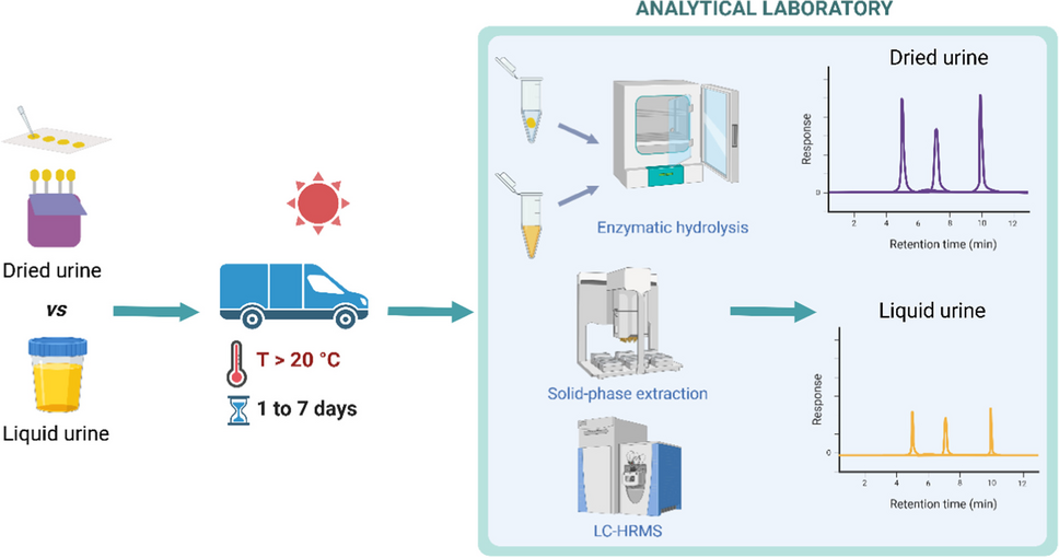 LC-HRMS screening procedure for the detection of 11 different classes of prohibited substances in dried urine spots for doping control purposes