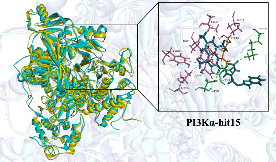 Identification of novel inhibitors targeting PI3Kα via ensemble-based virtual screening method, biological evaluation and molecular dynamics simulation