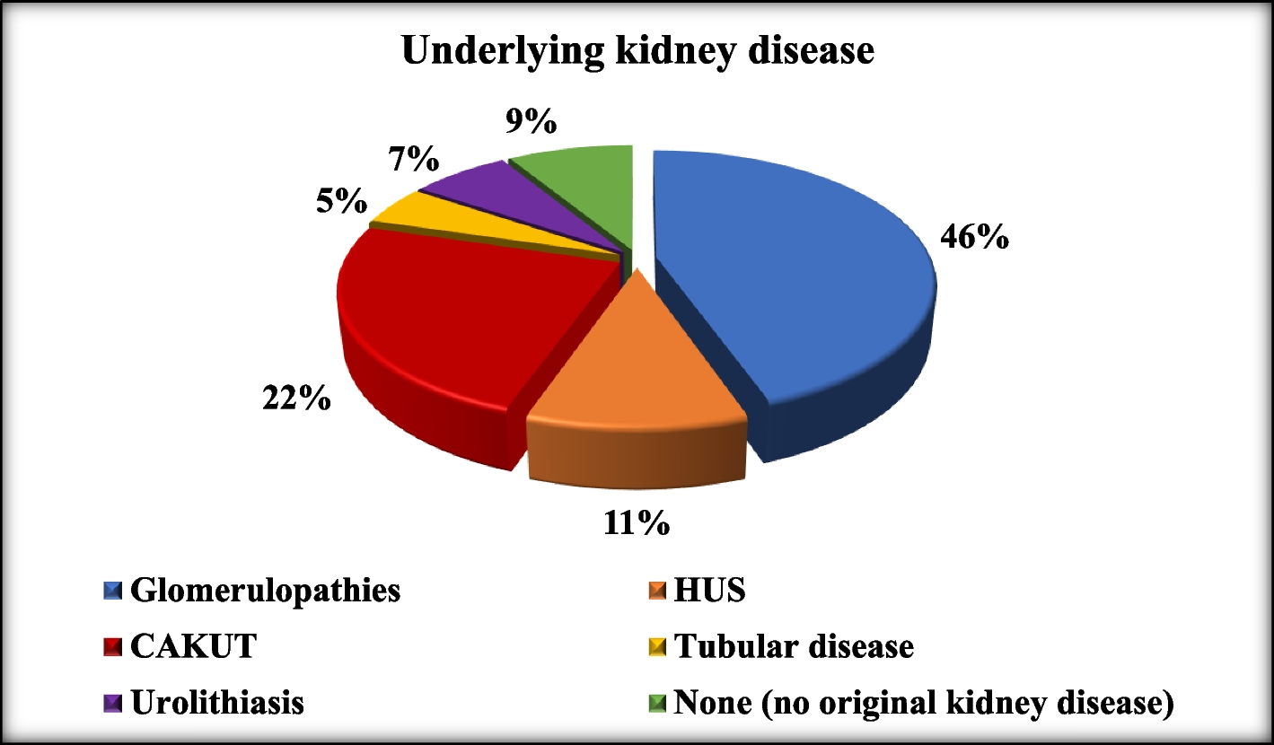 Profile of renal conditions among pediatric emergency patients