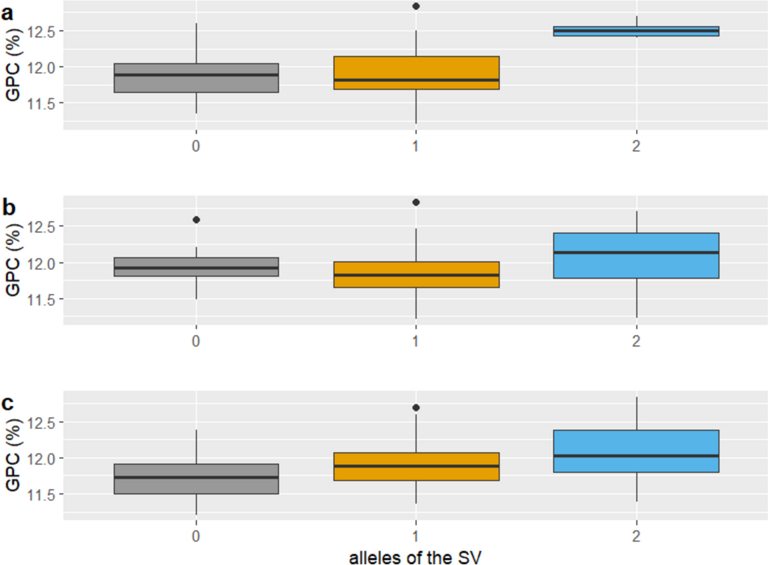 Impact of structural variations and genome partitioning on bread wheat hybrid performance