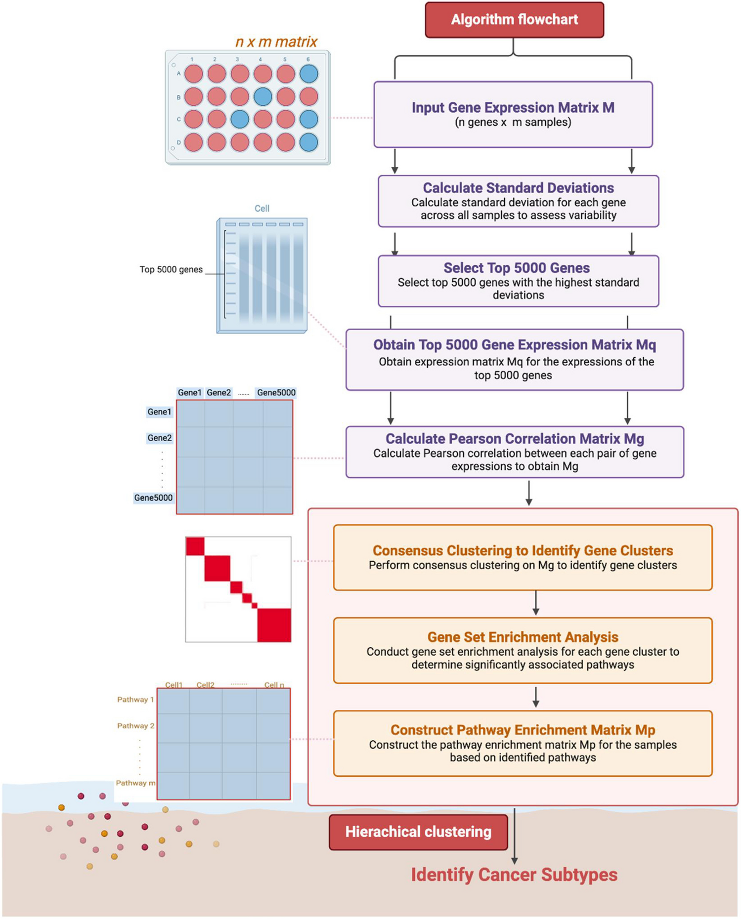 Gene clusters-based pathway enrichment analysis identifies four pan-cancer subtypes with distinct molecular and clinical features