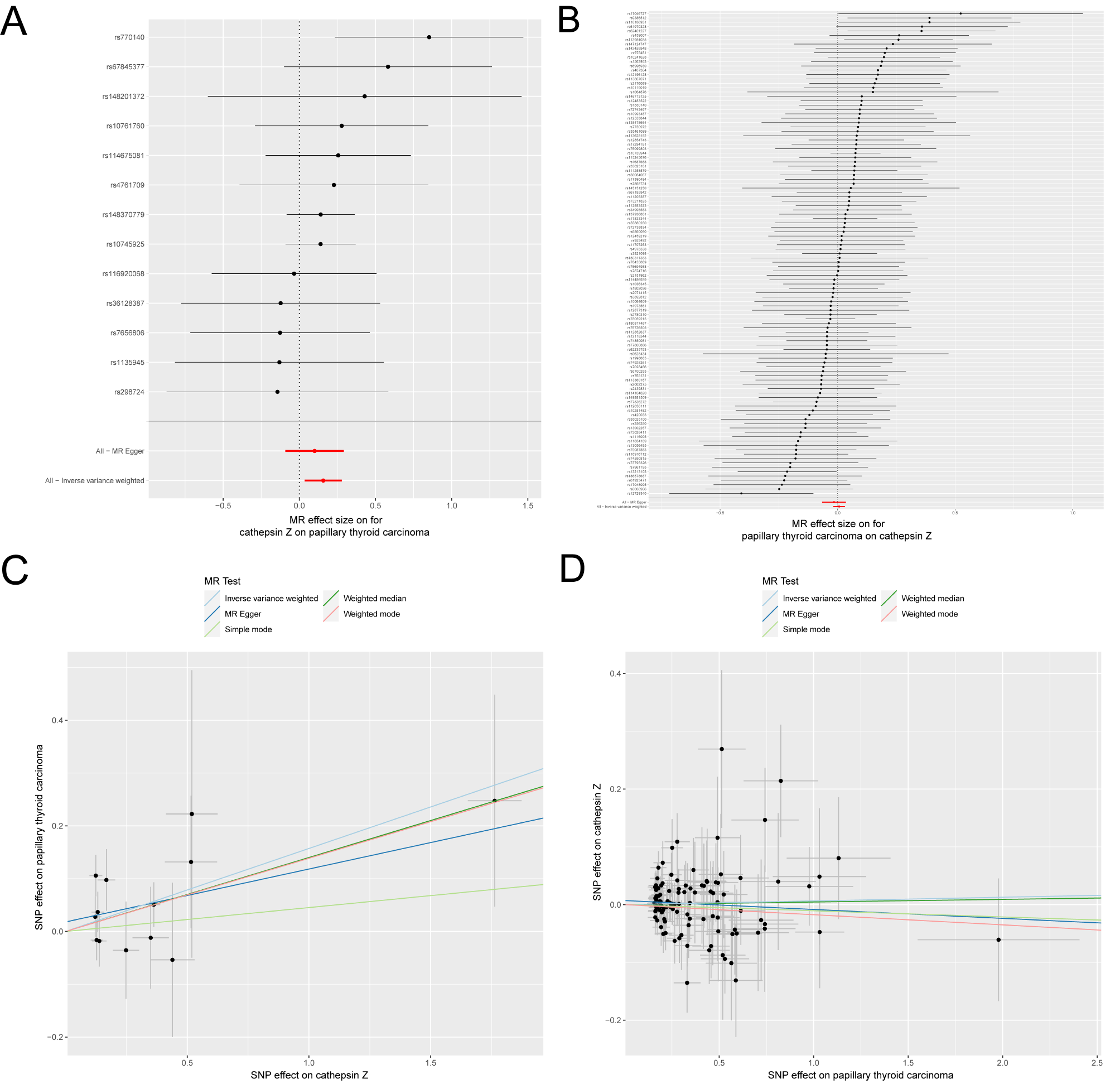 Are cathepsins a risk factor for papillary thyroid carcinoma? A bidirectional two-sample mendelian randomization analysis