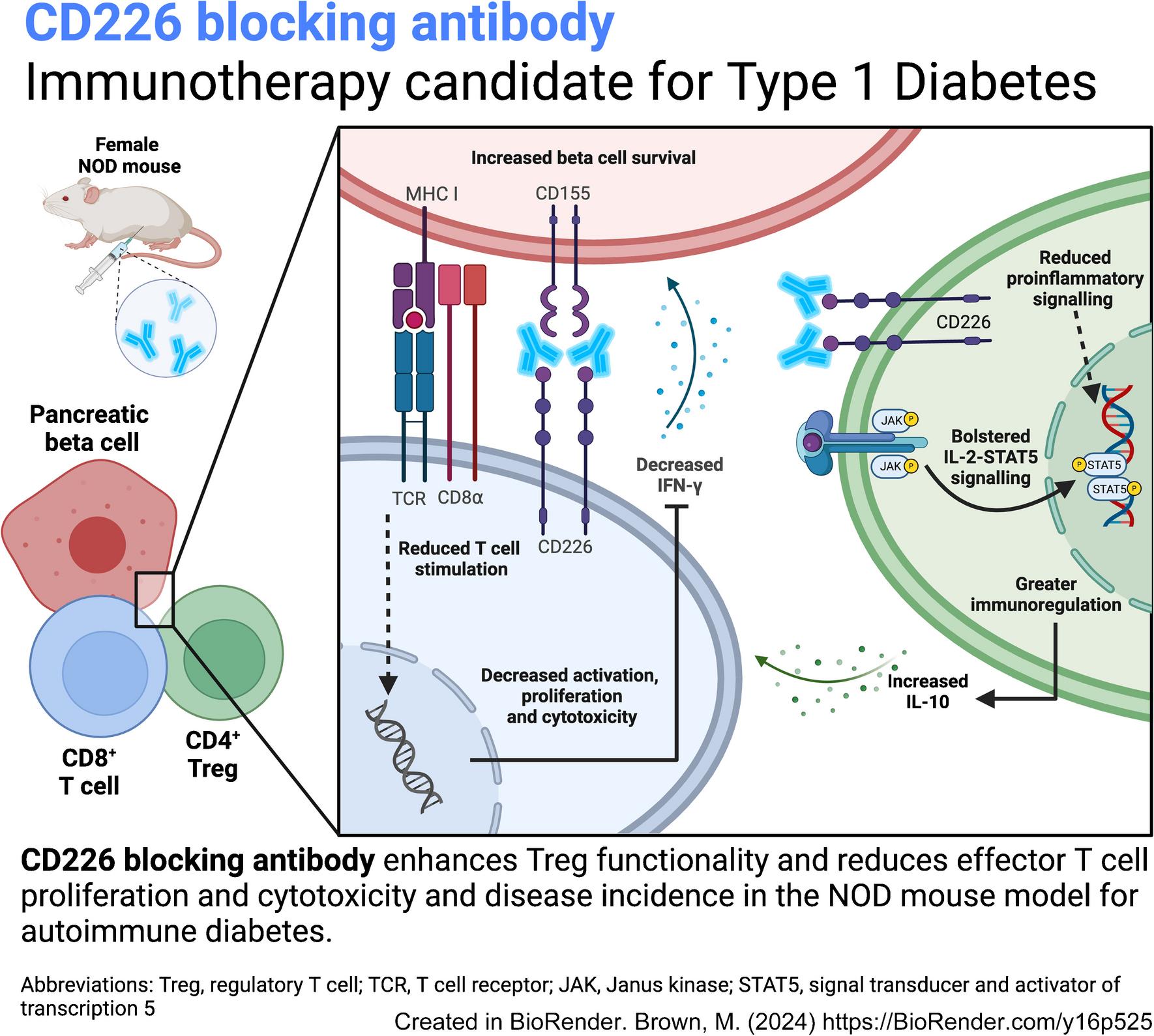 Inhibition of CD226 co-stimulation suppresses diabetes development in the NOD mouse by augmenting regulatory T cells and diminishing effector T cell function