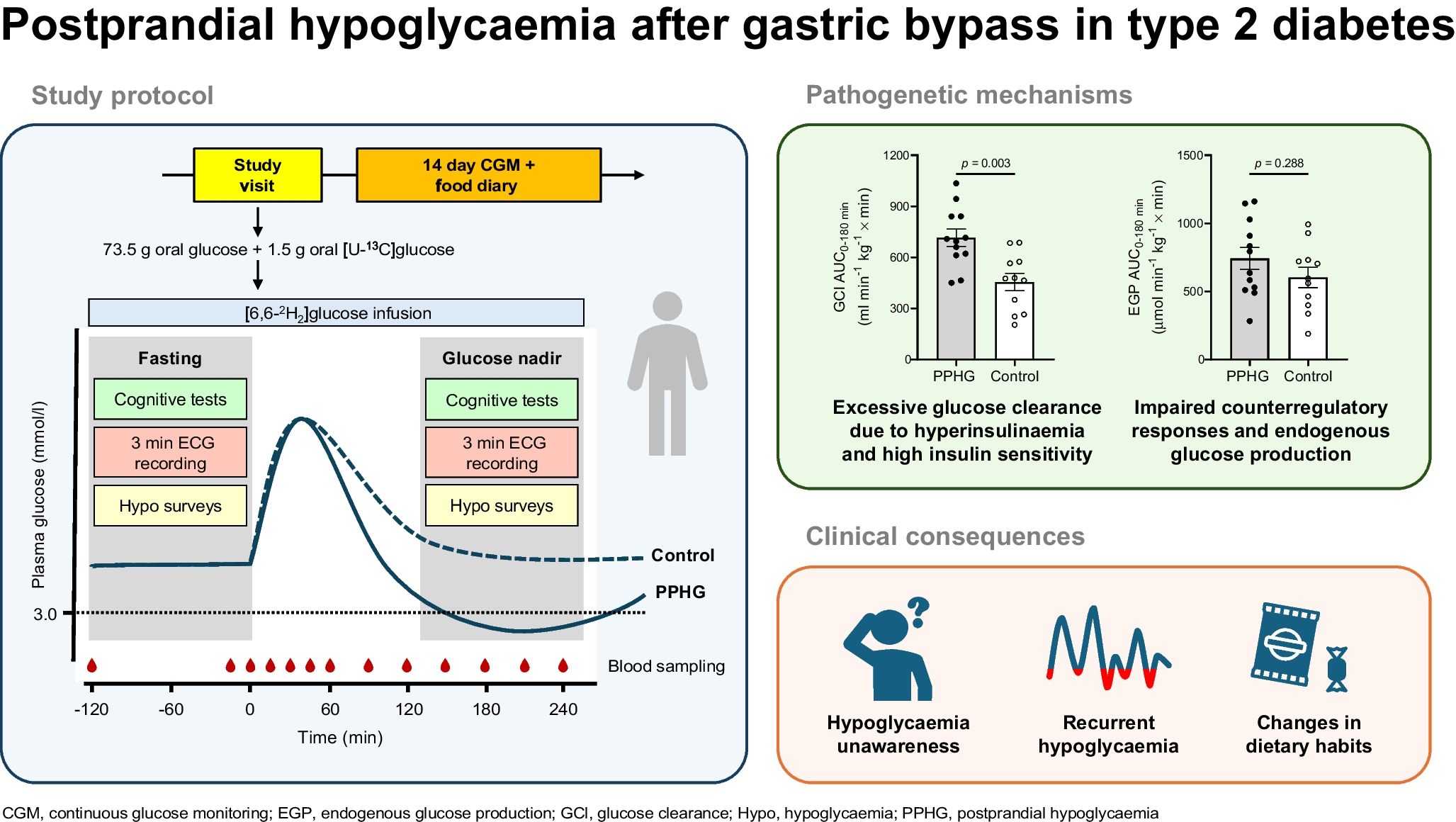 Postprandial hypoglycaemia after gastric bypass in type 2 diabetes: pathophysiological mechanisms and clinical implications