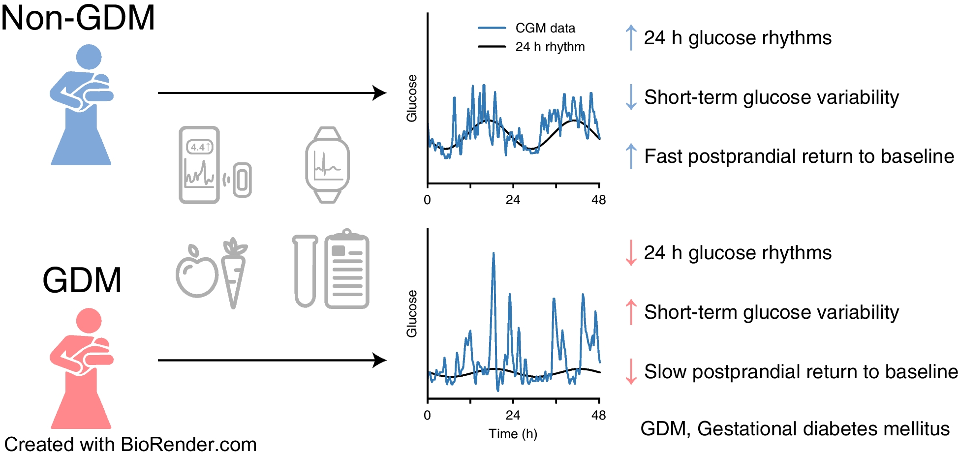 The metabolic and circadian signatures of gestational diabetes in the postpartum period characterised using multiple wearable devices