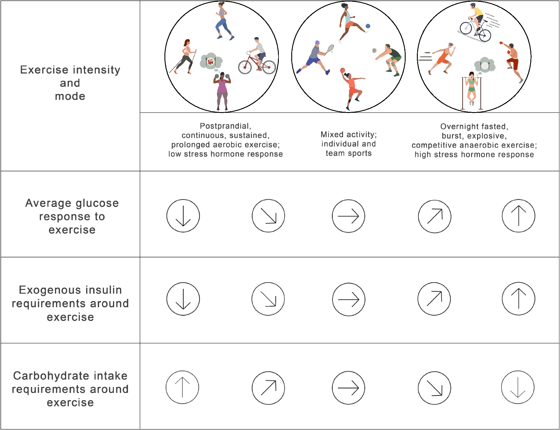 The use of automated insulin delivery around physical activity and exercise in type 1 diabetes: a position statement of the European Association for the Study of Diabetes (EASD) and the International Society for Pediatric and Adolescent Diabetes (ISPAD)