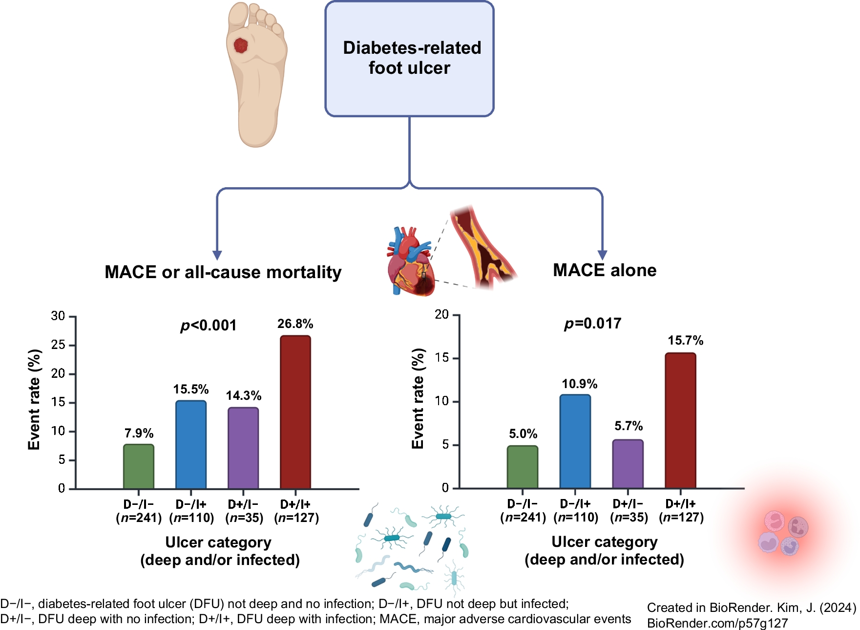 Increased risk of major adverse cardiovascular events in patients with deep and infected diabetes-related foot ulcers