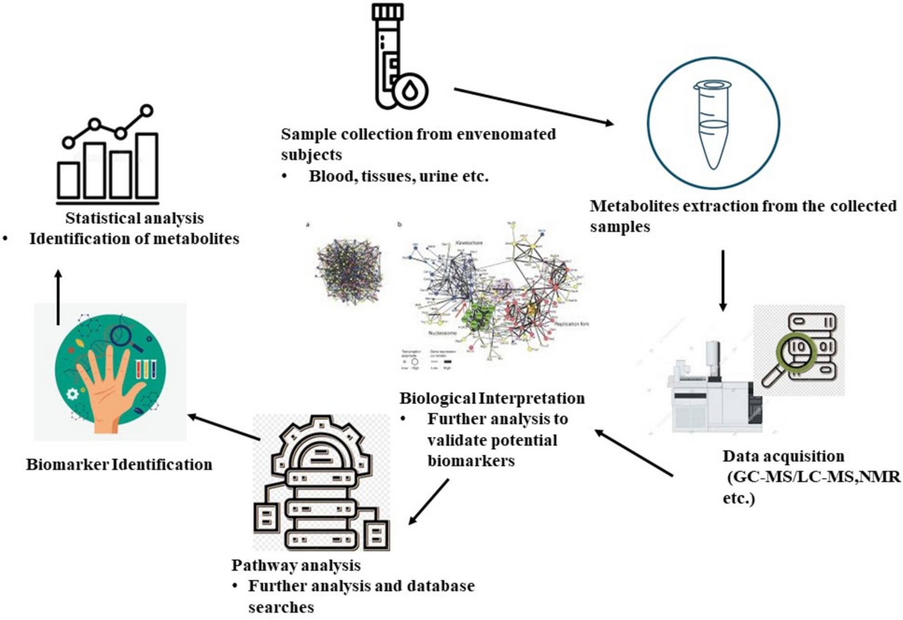 Metabolomics and proteomics: synergistic tools for understanding snake venom inhibition