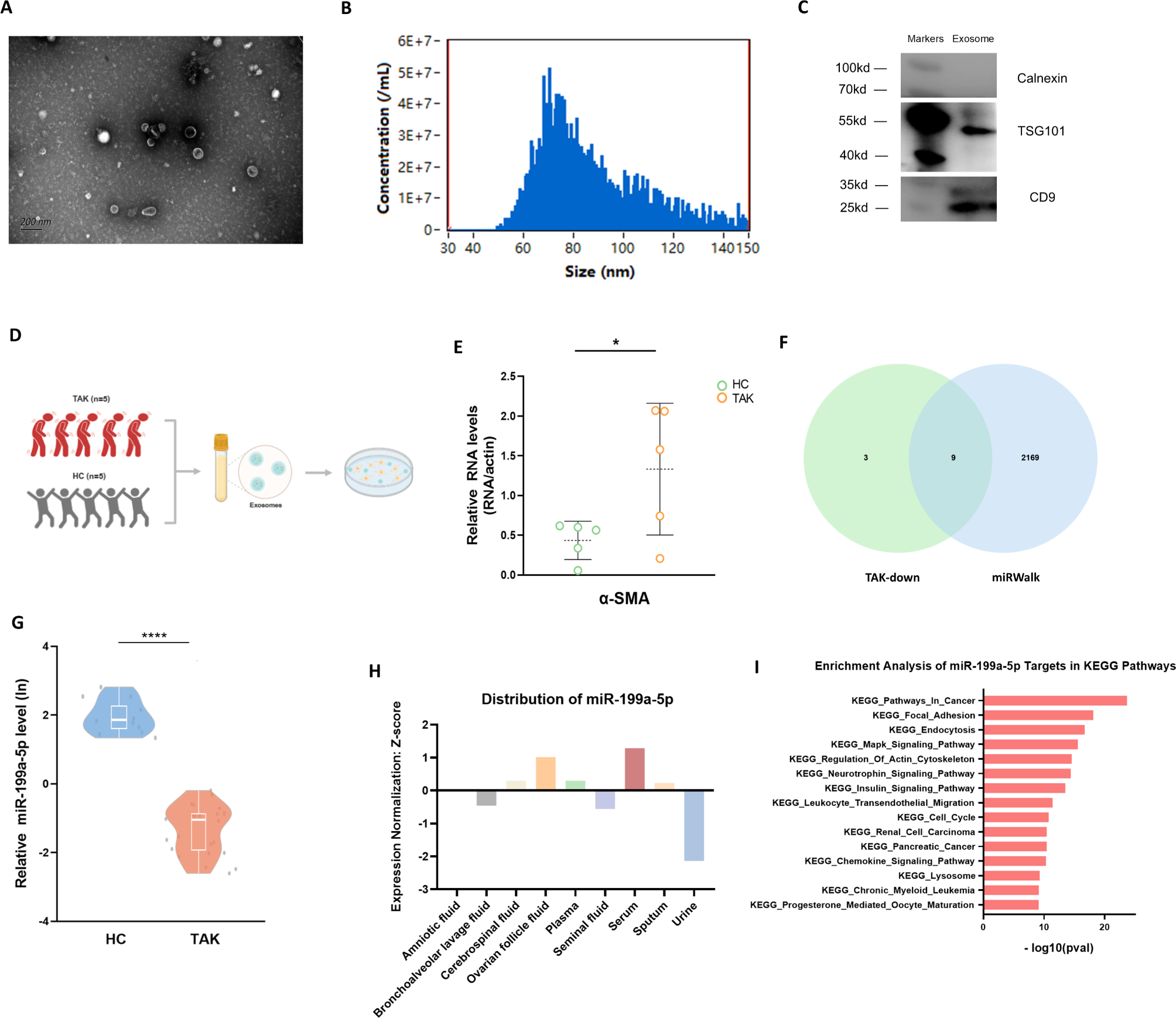 Exosome miR-199a-5p modulated vascular remodeling and inflammatory infiltration of Takayasu’s arteritis