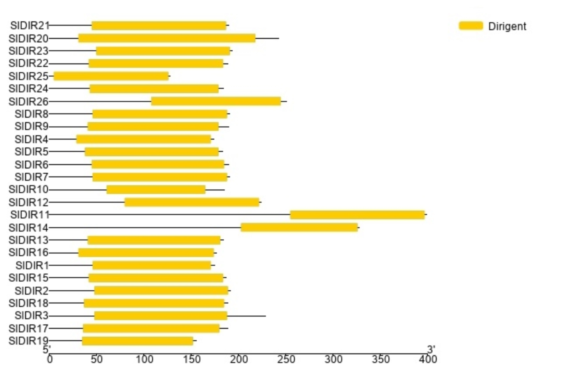 Genome-wide computational analysis of the dirigent gene family in Solanum lycopersicum