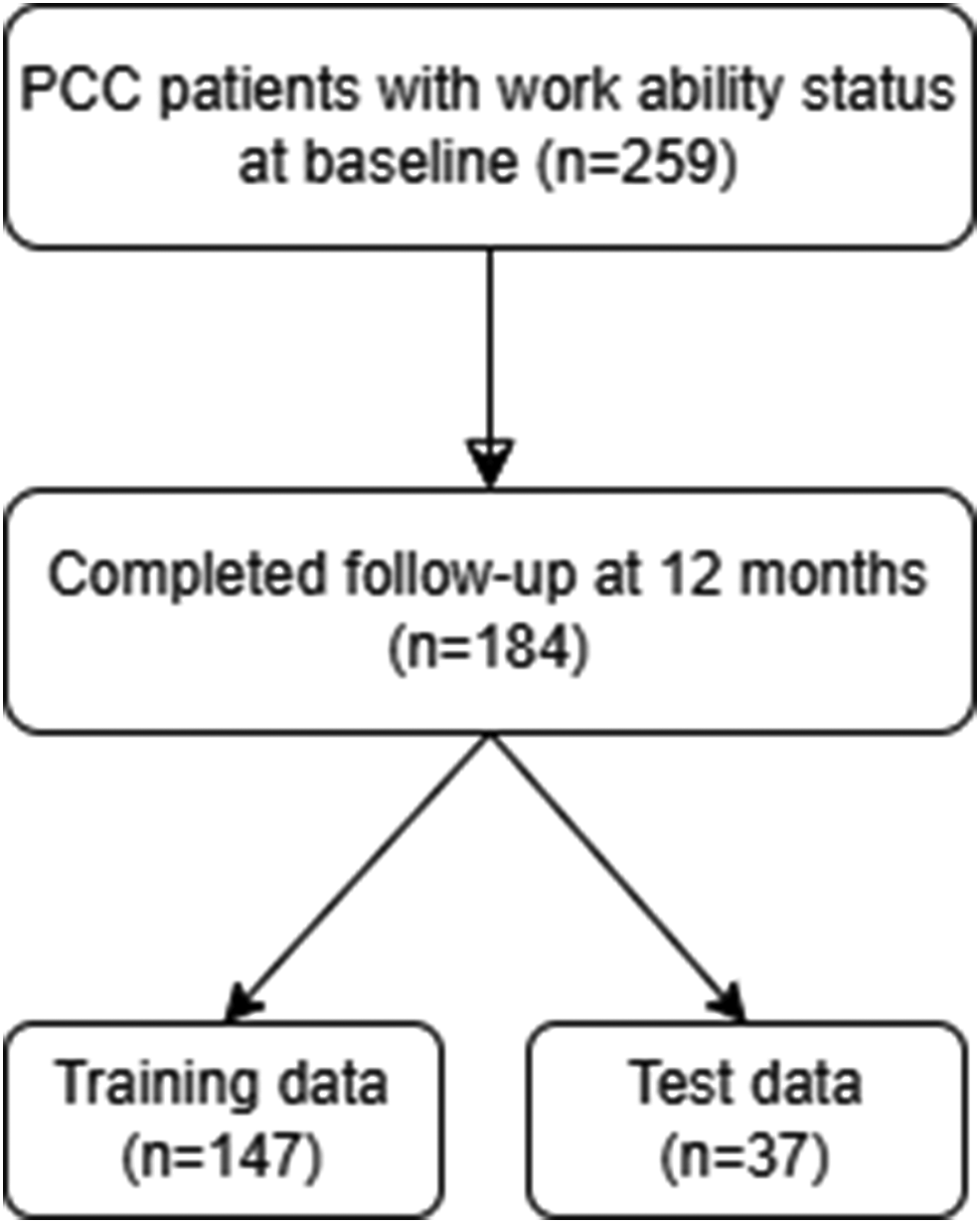 Predicting work ability impairment in post COVID-19 patients: a machine learning model based on clinical parameters