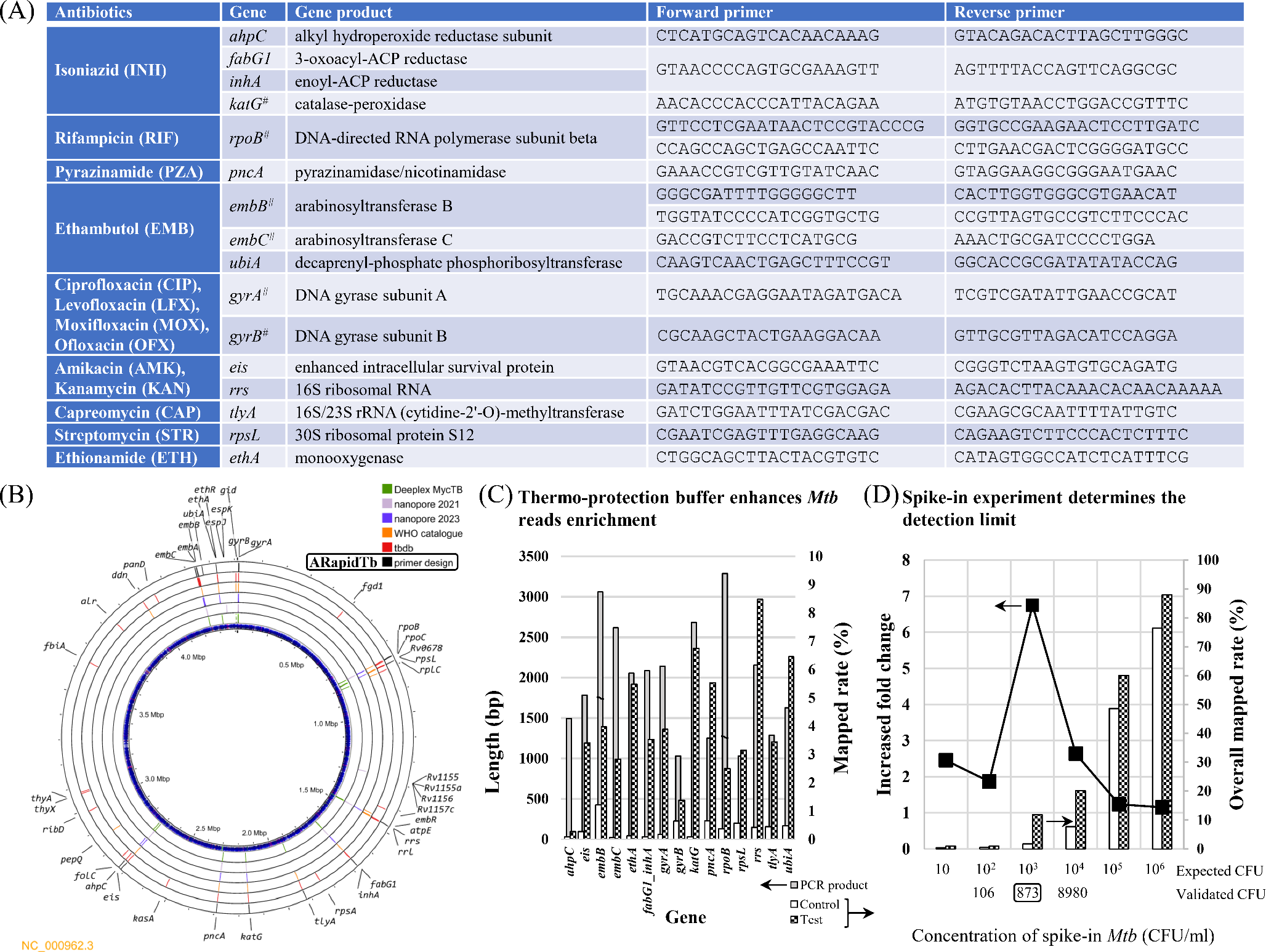 Targeted sputum sequencing for rapid and broad drug resistance of Mycobacterium tuberculosis