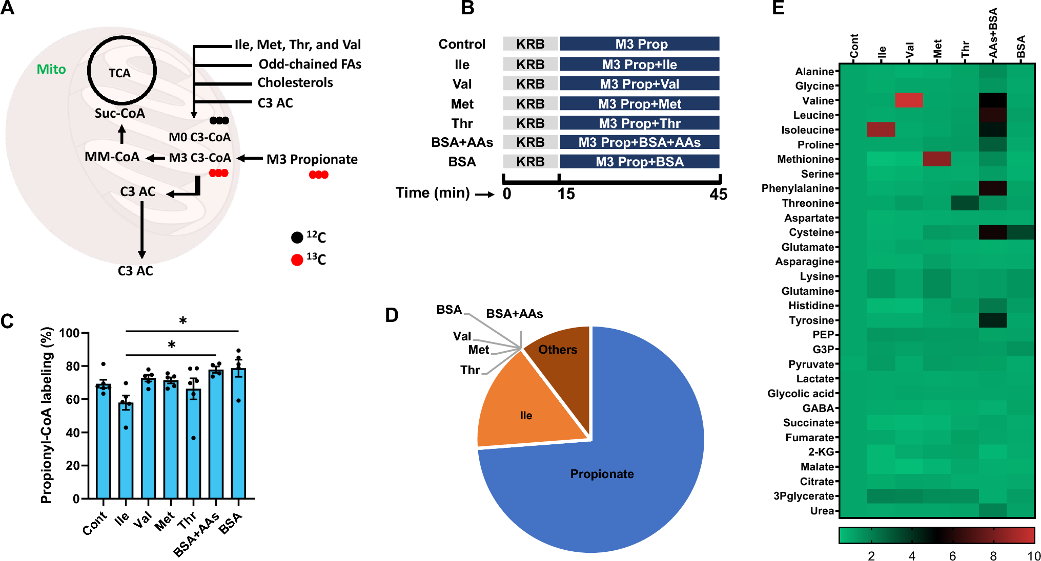 The attenuated hepatic clearance of propionate increases cardiac oxidative stress in propionic acidemia