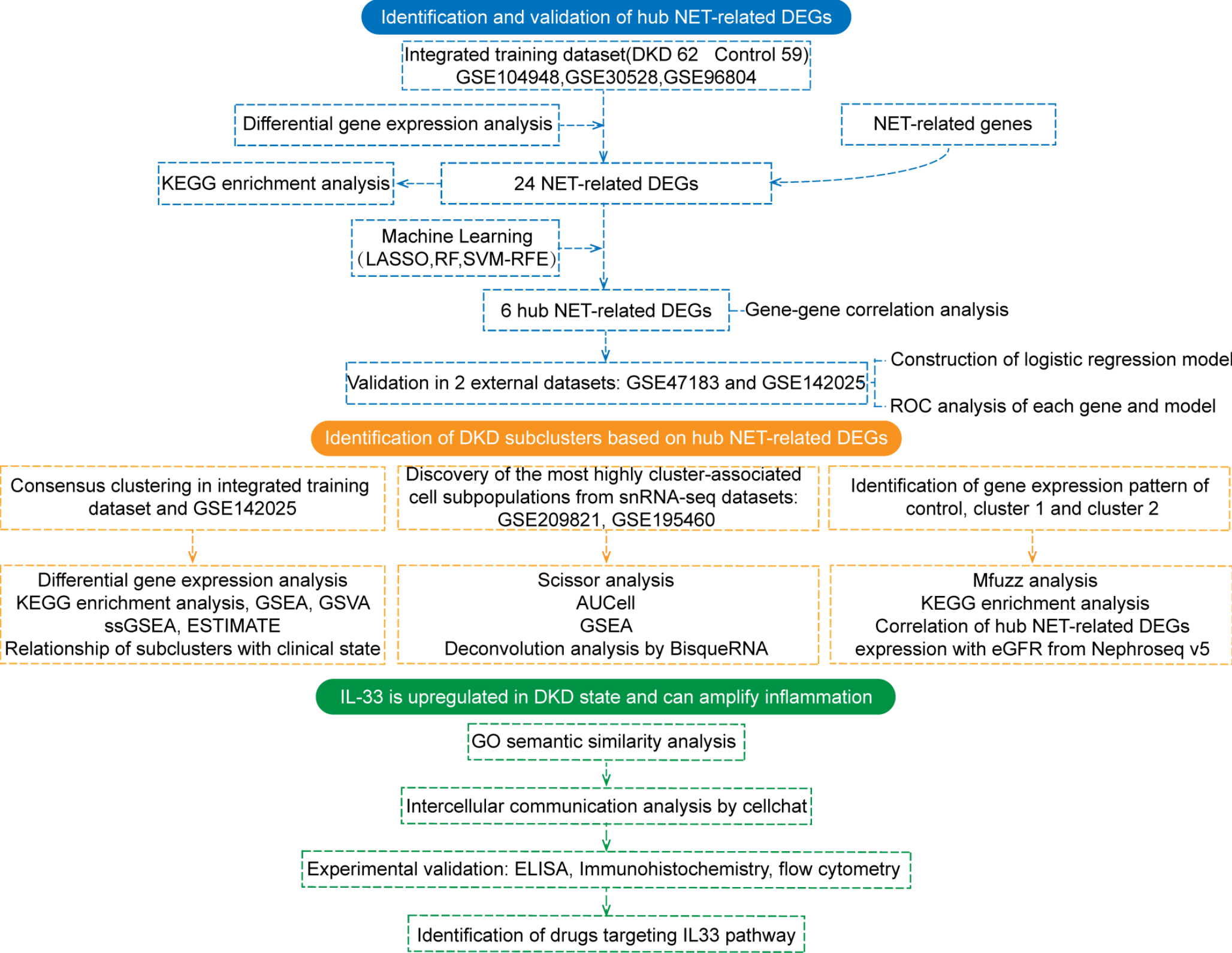 IL-33, a neutrophil extracellular trap-related gene involved in the progression of diabetic kidney disease