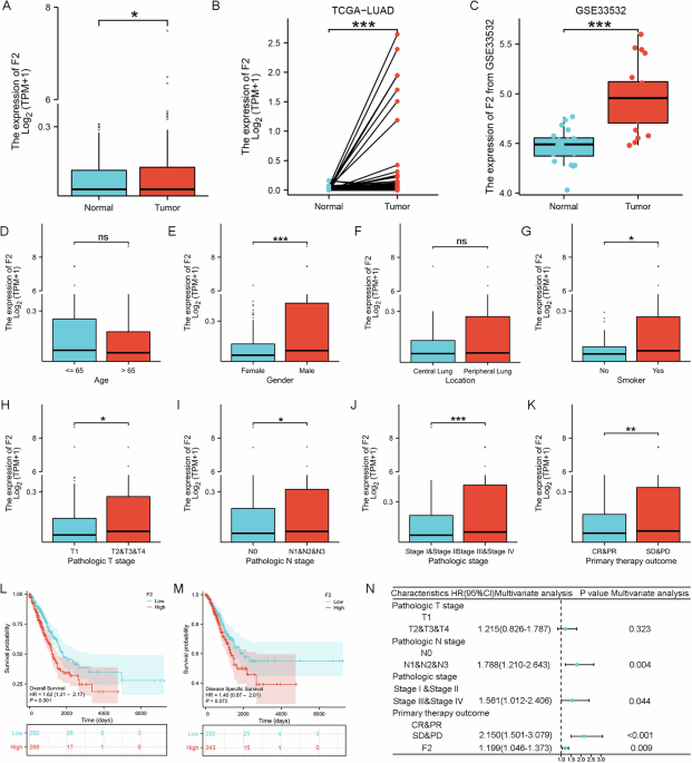 The coagulation and tumor system are directly linked through the proteolysis and activation of epidermal growth factor receptor by thrombin