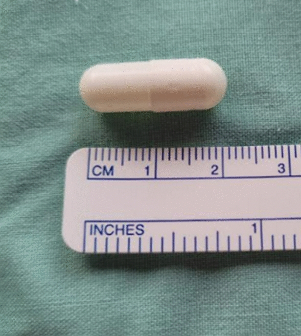 A Modified Fiberoptic Endoscopic Evaluation of Swallowing Evaluating Esophageal Dysphagia by a Capsule: A Pilot Study