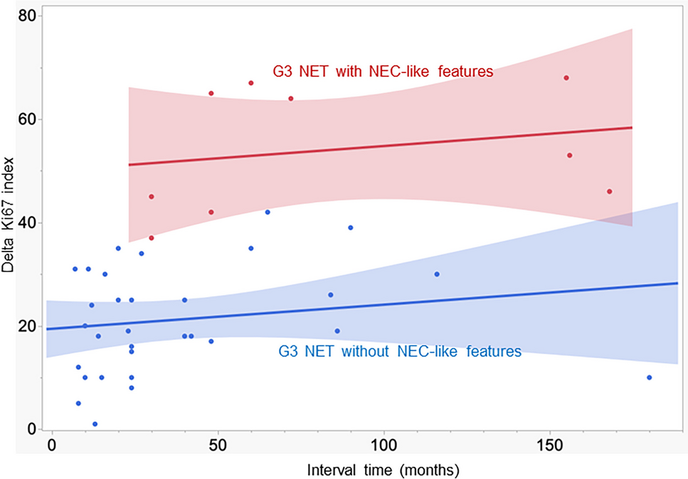 Rapid Evolution of Metastases in Patients with Treated G3 Neuroendocrine Tumors Associated with NEC-Like Transformation and TP53 Mutation