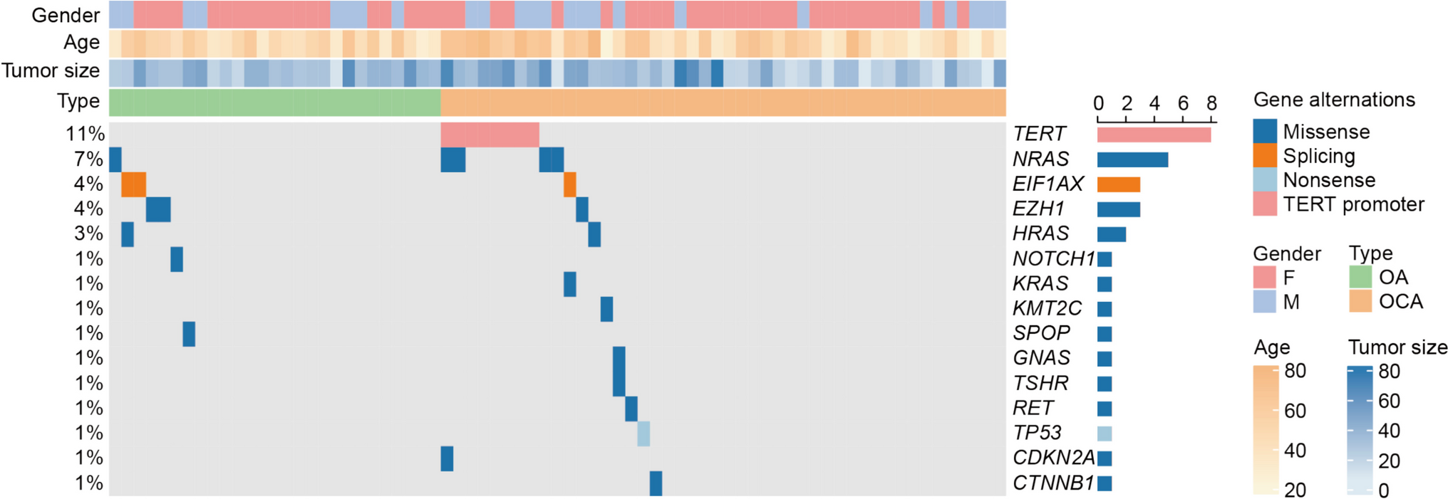 Mitochondrial Proteome Defined Molecular Pathological Characteristics of Oncocytic Thyroid Tumors