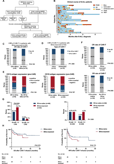 Efficacy and safety of CAR-T cell therapy in B-ALL patients previously treated with blinatumomab