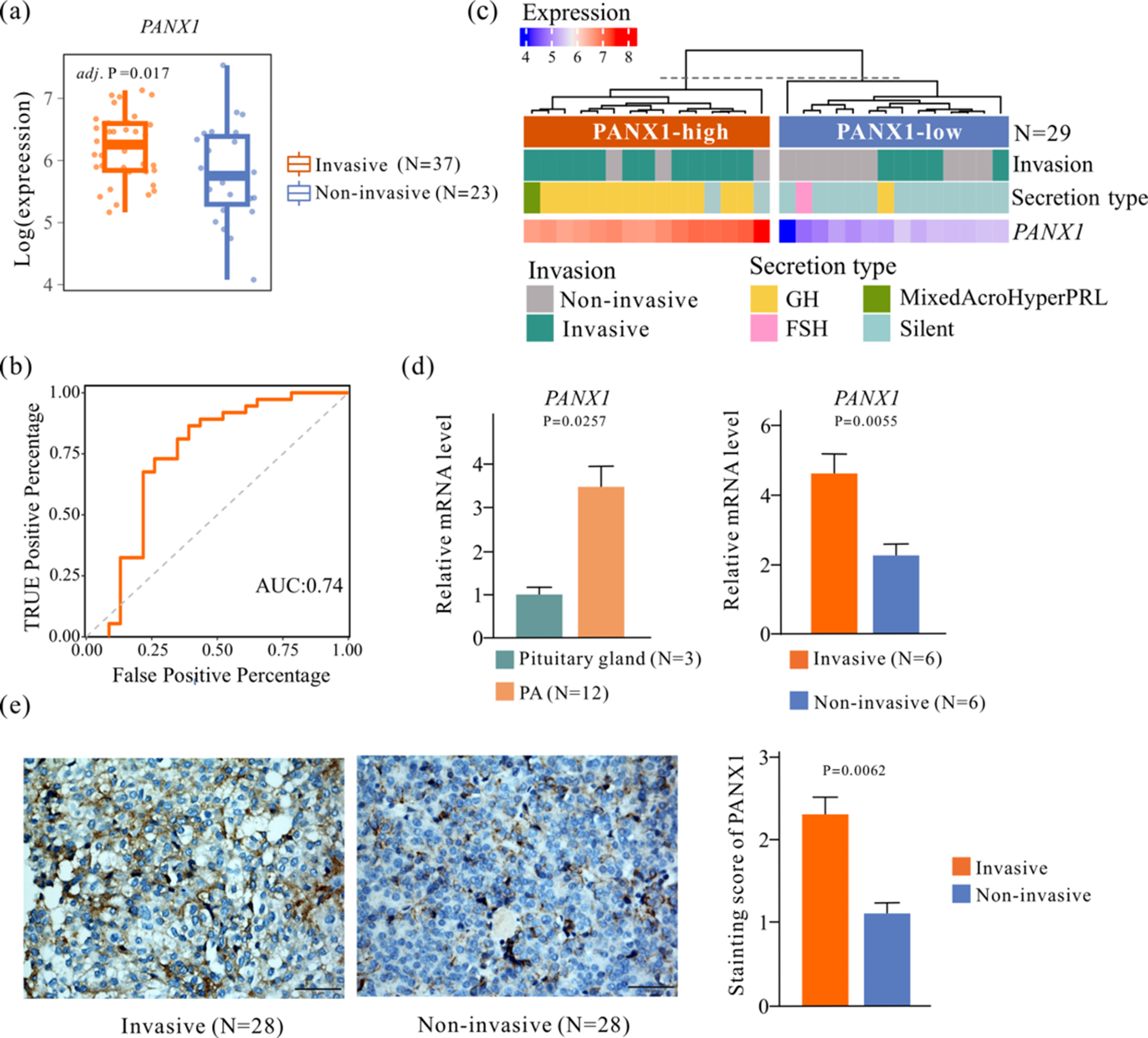 Pannexin-1 regulation of ATP release promotes the invasion of pituitary adenoma