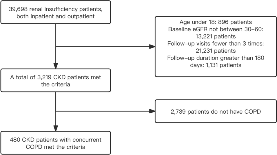 Risk factors for renal progression in patients with CKD and coexisting COPD