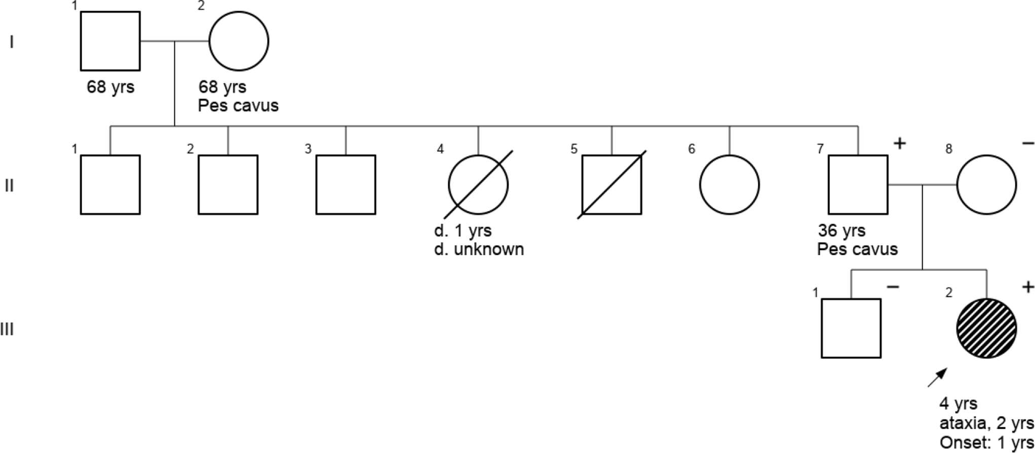 Unveiling Spinocerebellar Ataxia 25: First Case Report of a Brazilian Family