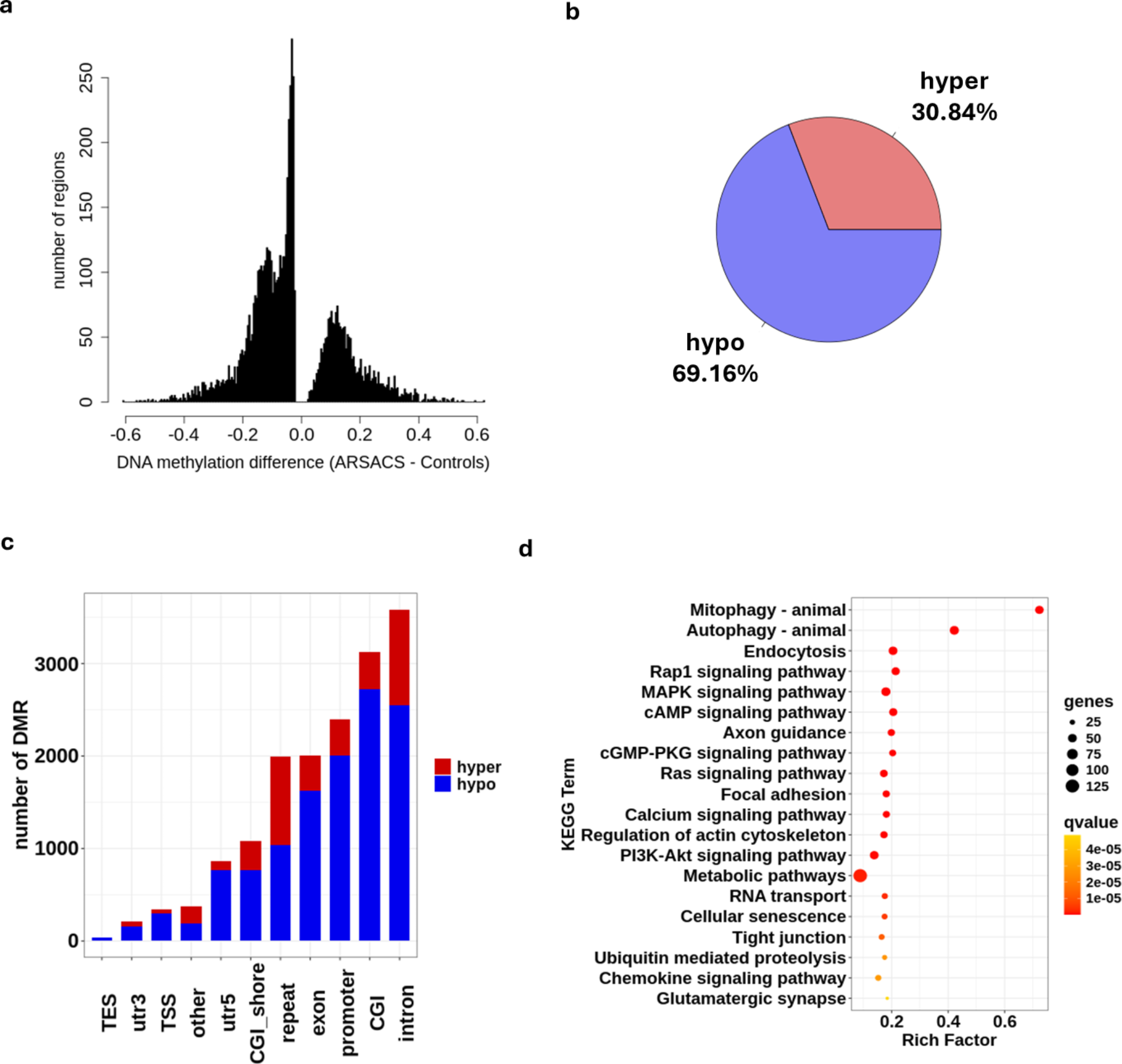 Whole Blood DNA Methylation Analysis Reveals Epigenetic Changes Associated with ARSACS