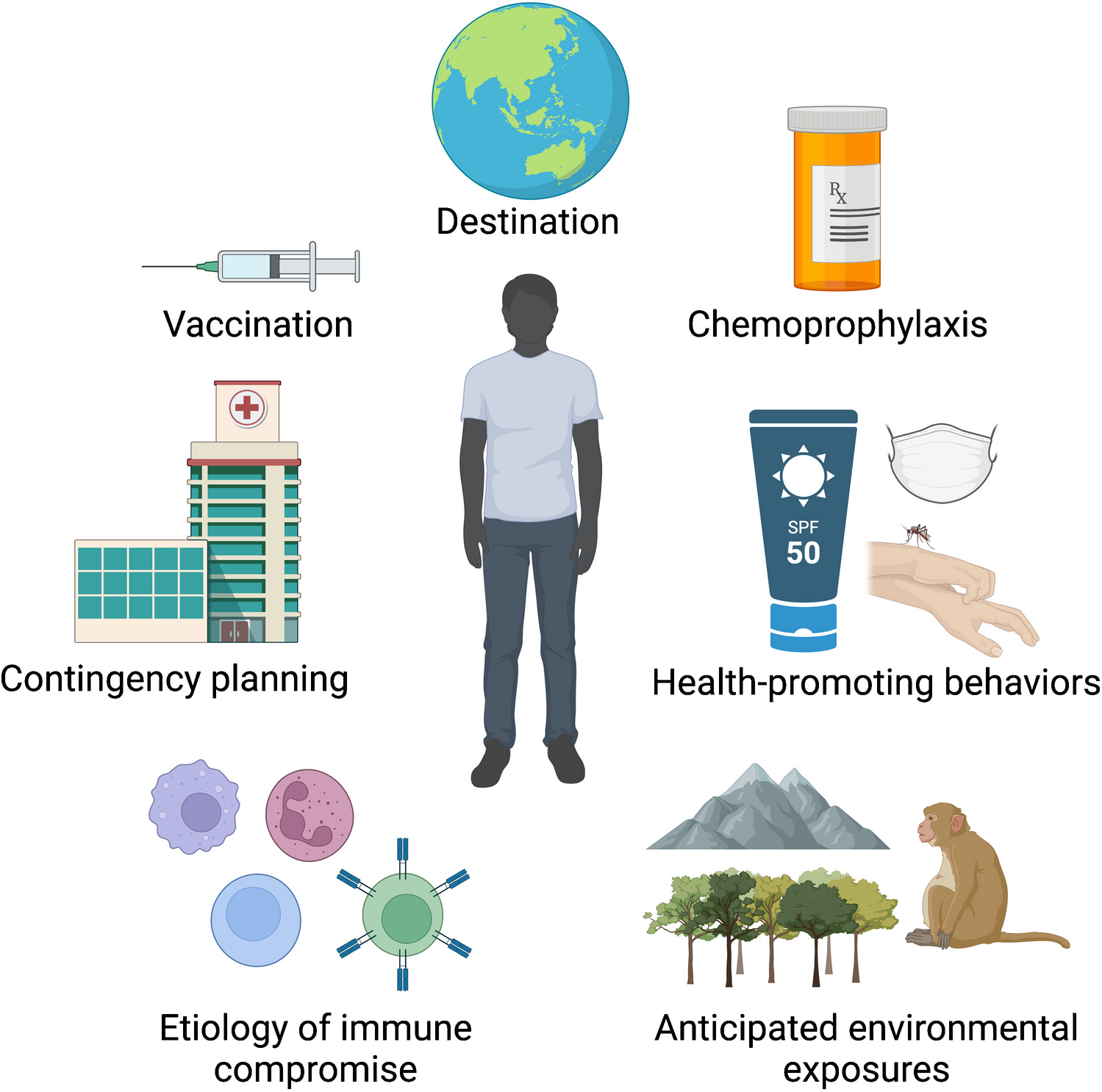 Travel Medicine for Immunocompromised Travelers: An Essential Layer of Protection