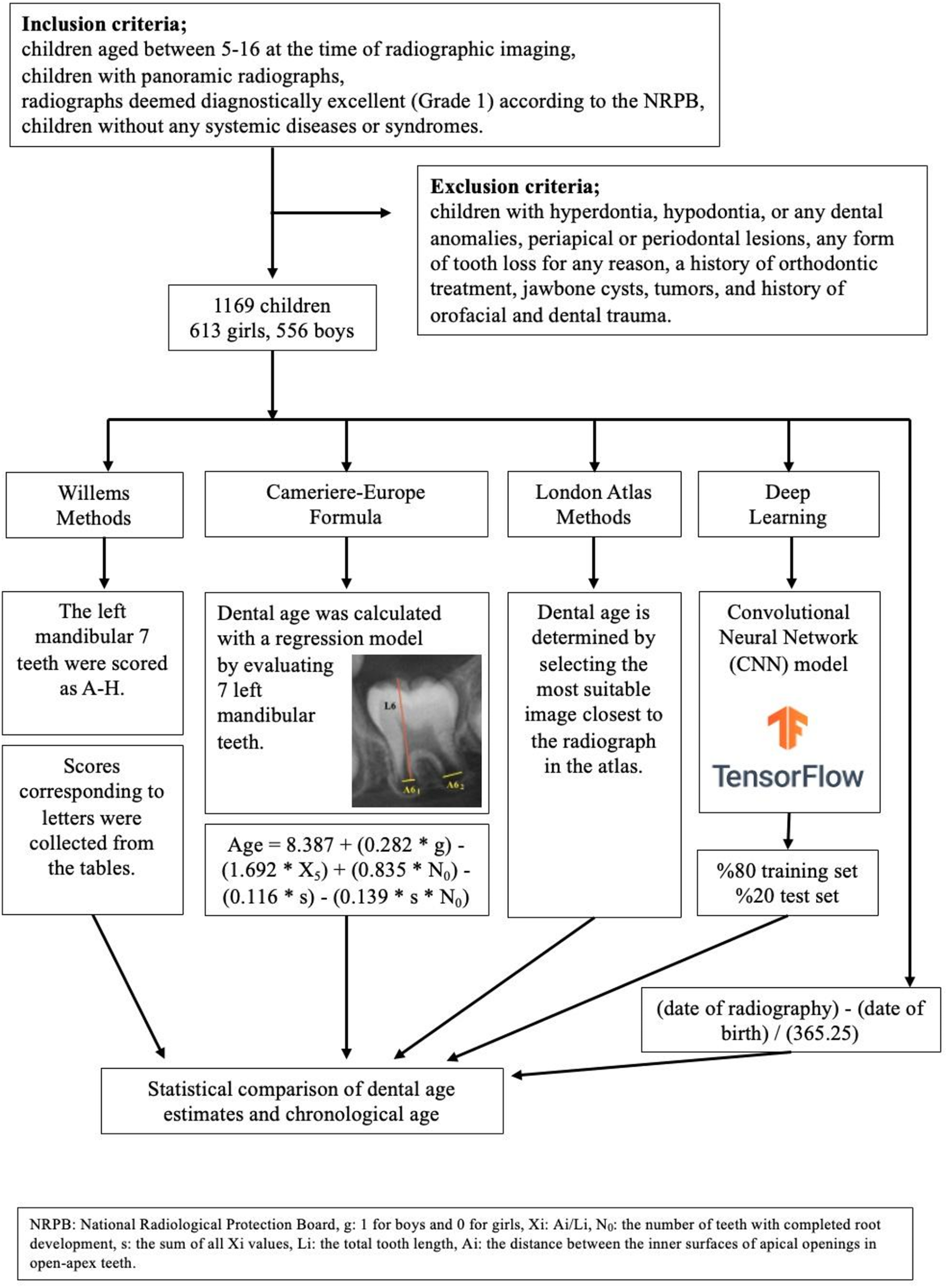 Comparison of different dental age estimation methods with deep learning: Willems, Cameriere-European, London Atlas