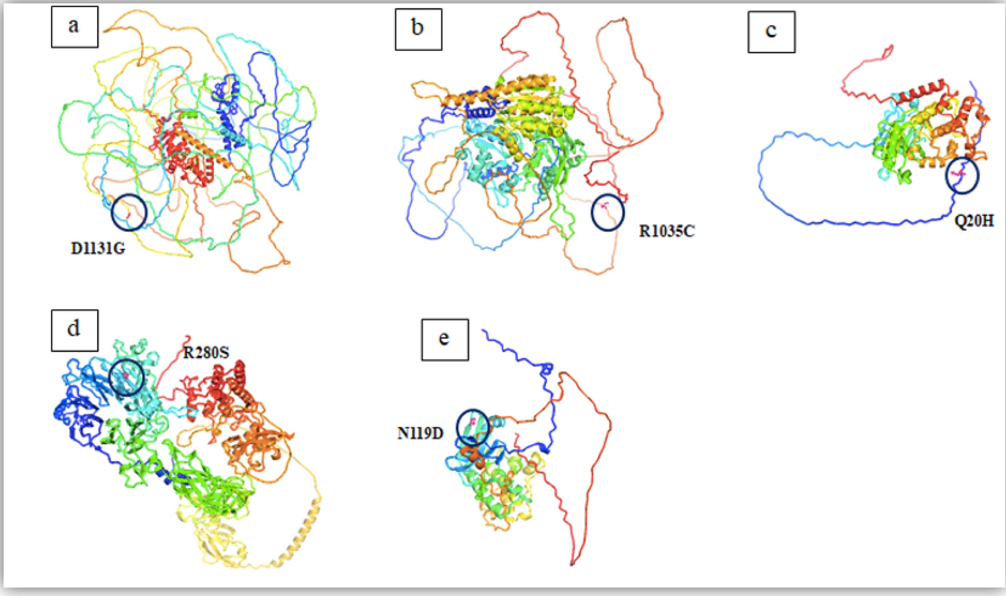 Comprehensive bioinformatics analysis of selected germline variants of uncertain significance identified in a cohort of Sri Lankan hereditary breast cancer patients