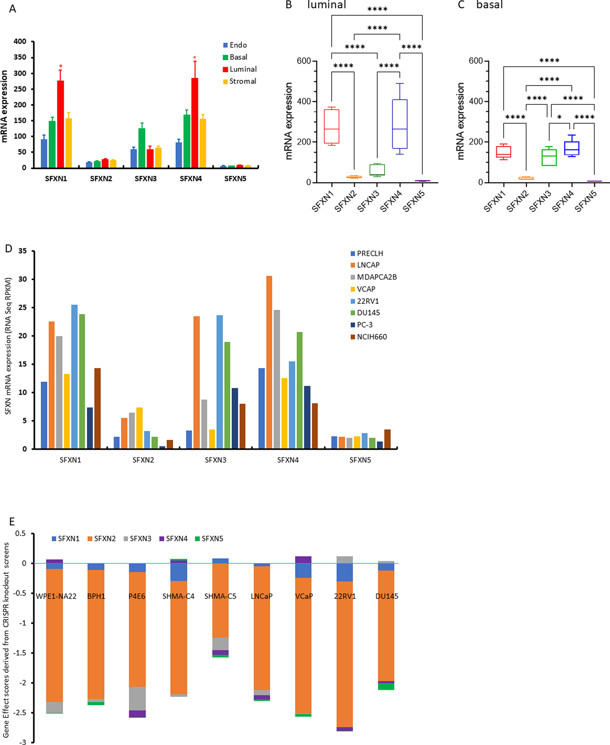 Sideroflexin family genes were dysregulated and associated with tumor progression in prostate cancers