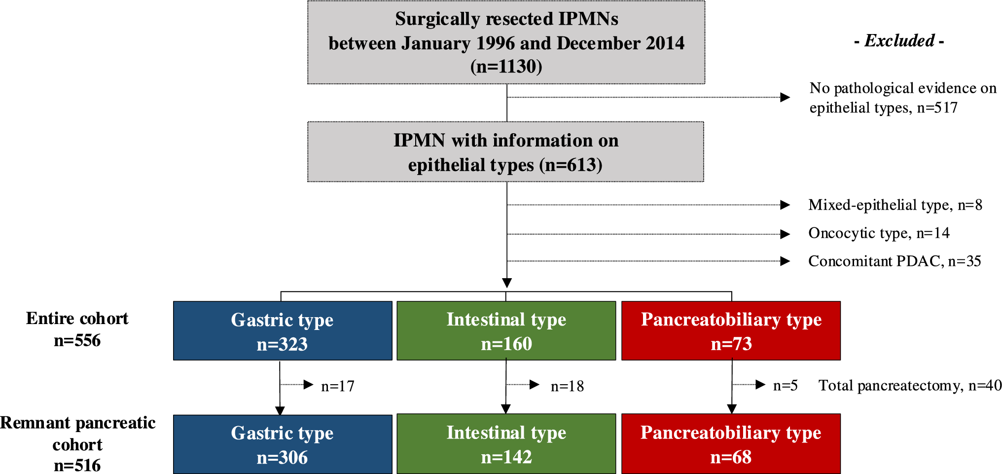 Clinical impact of epithelial types on postoperative outcomes for intraductal papillary mucinous neoplasms: a multicenter retrospective study